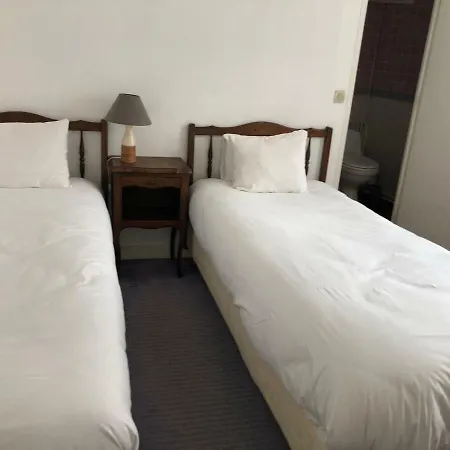 D'arromanches Pappagall