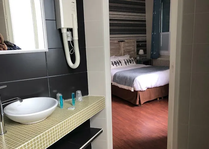 D'arromanches Pappagall ארומנש-לה-באינס