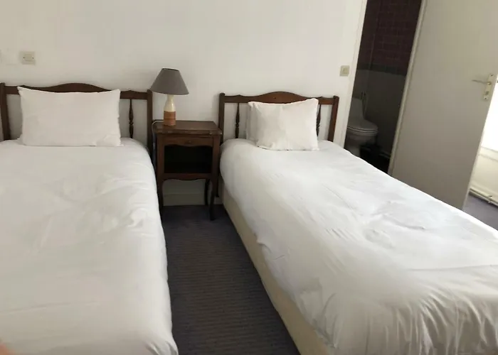 D'arromanches Pappagall