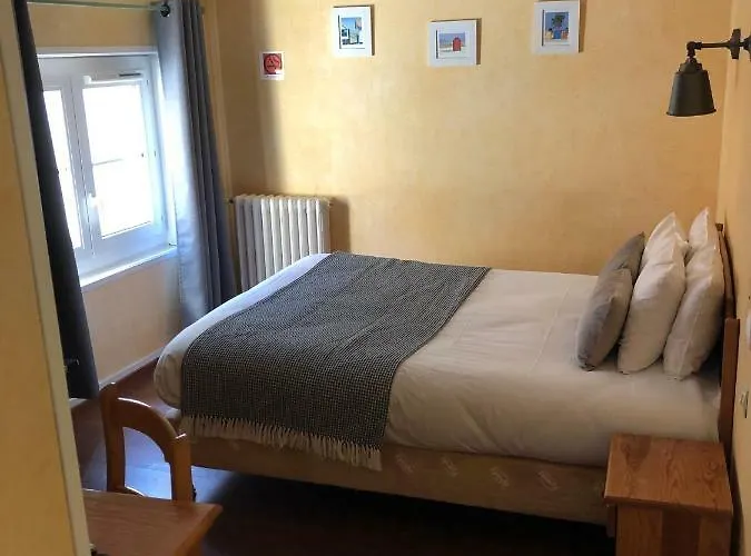 D'arromanches Pappagall